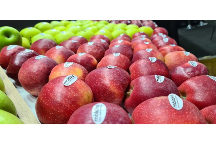 Moldova doubles export of apples to European Union 