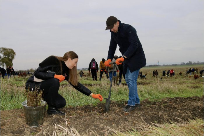 Spokesman for Moldovan government says cabinet plants more than 200,000 trees   