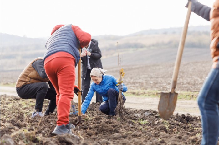 Șefa statului a plantat copaci împreună cu sute de voluntari, în comuna Băcioi